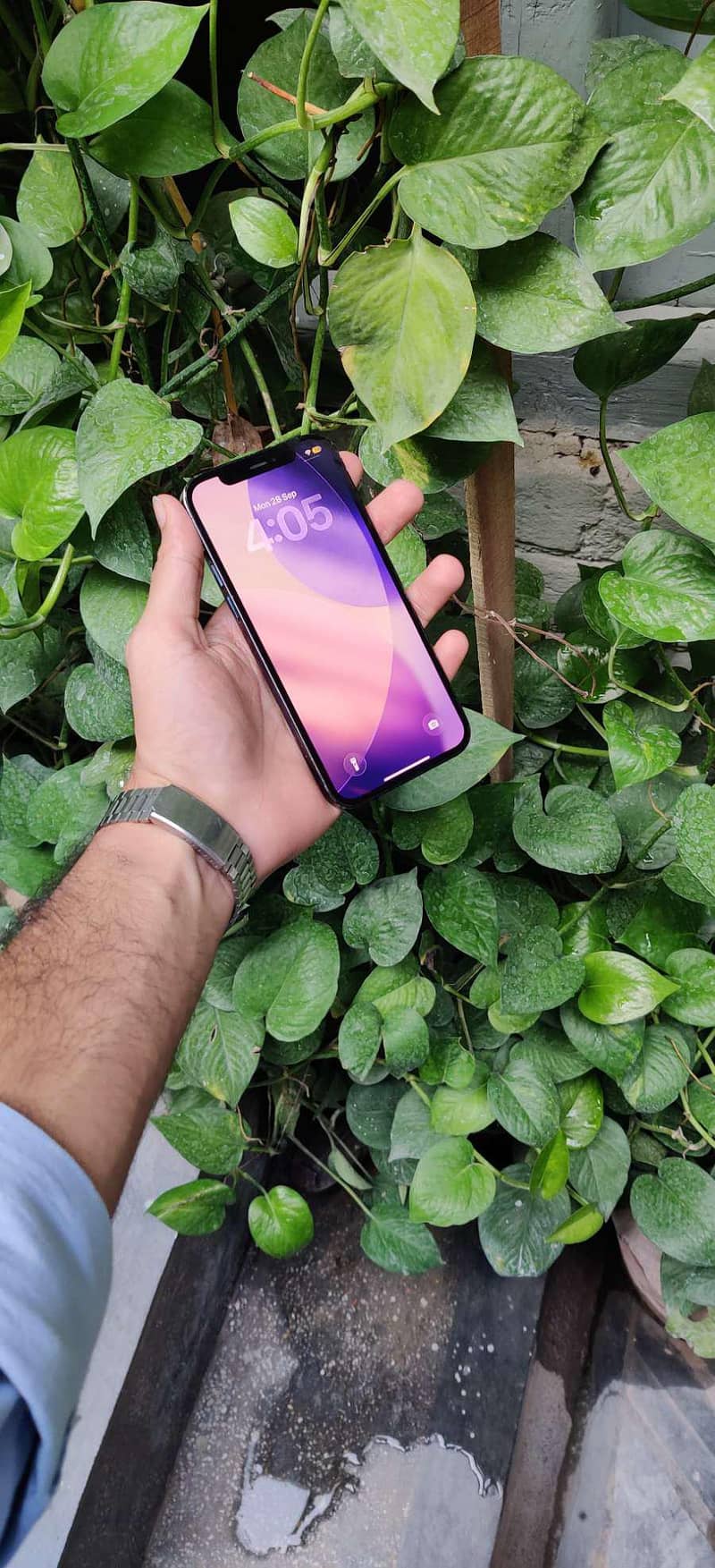 iphone 12 pro 4