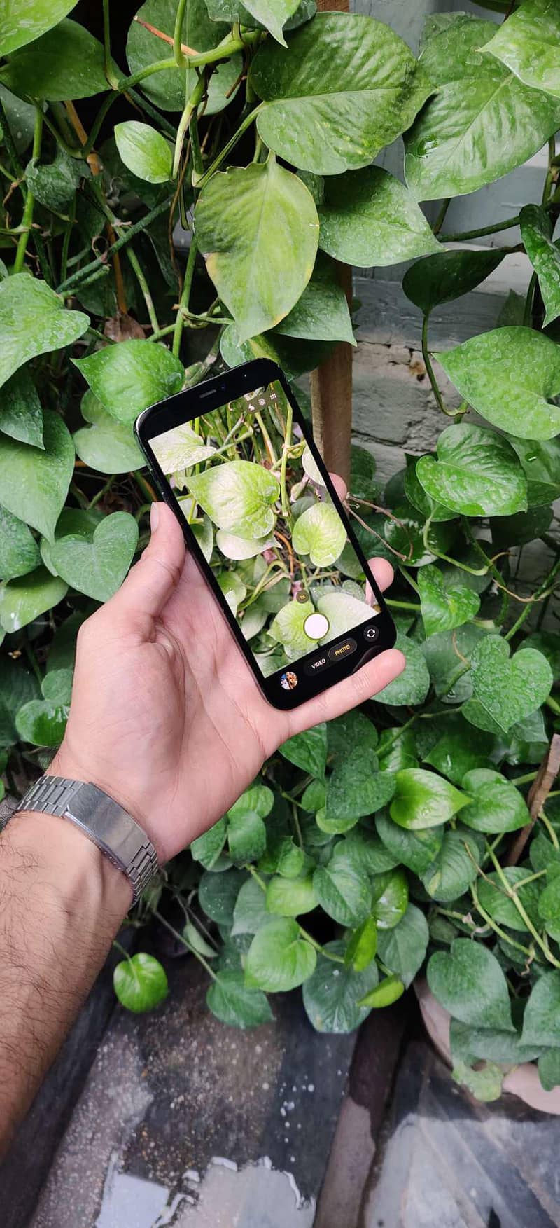 iphone 12 pro 5