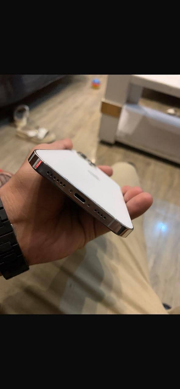 Apple iPhone 12 Pro Max 1