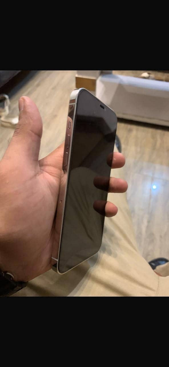 Apple iPhone 12 Pro Max 2