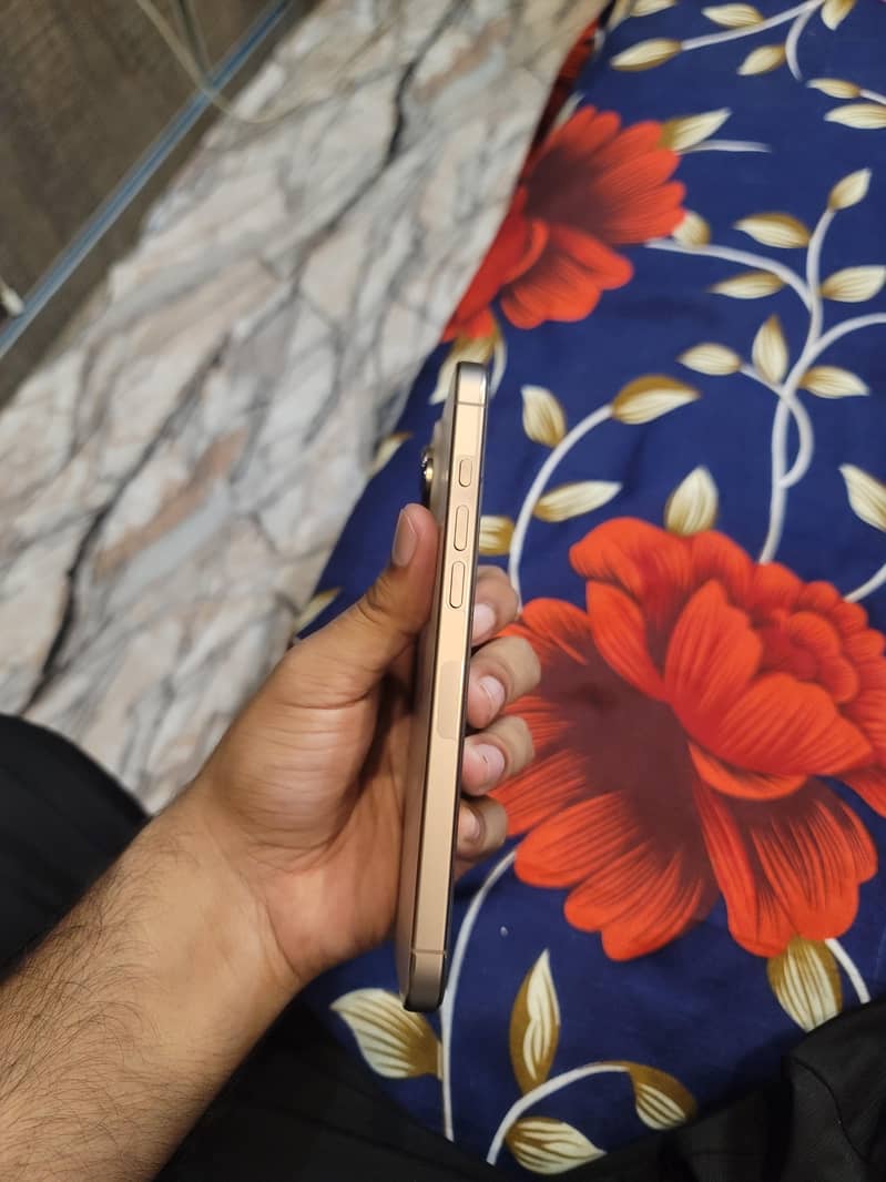 Apple iPhone 16 Pro Max 2