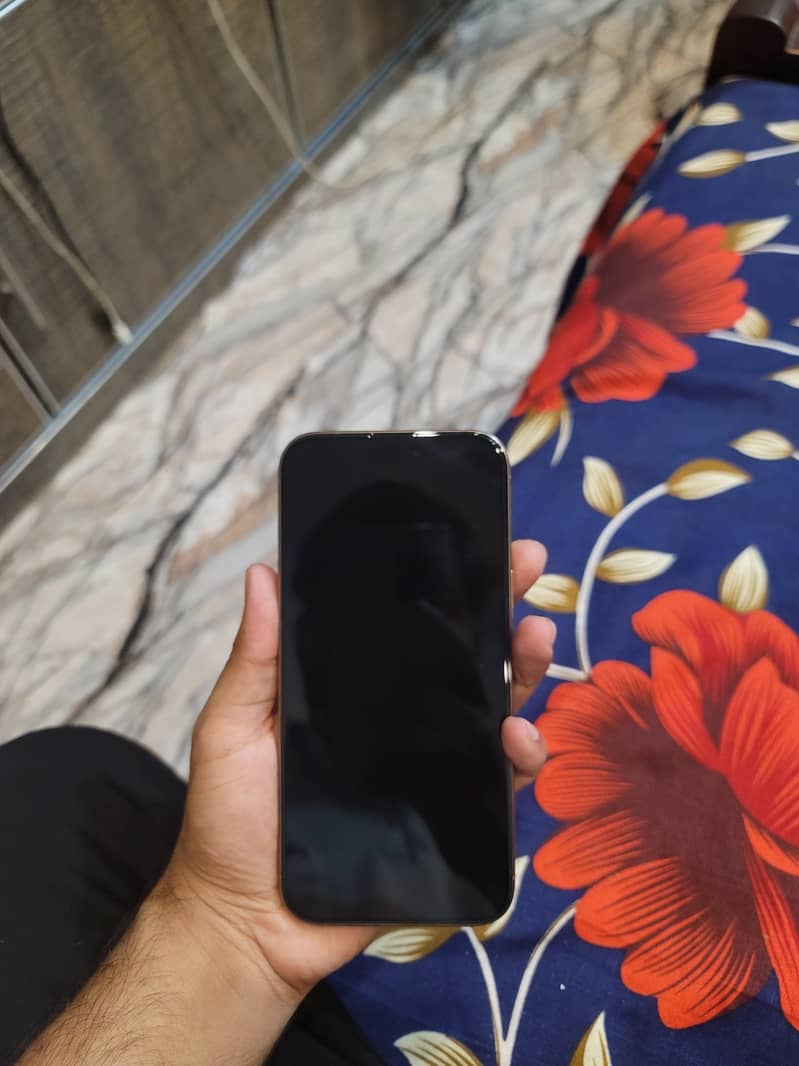Apple iPhone 16 Pro Max 4