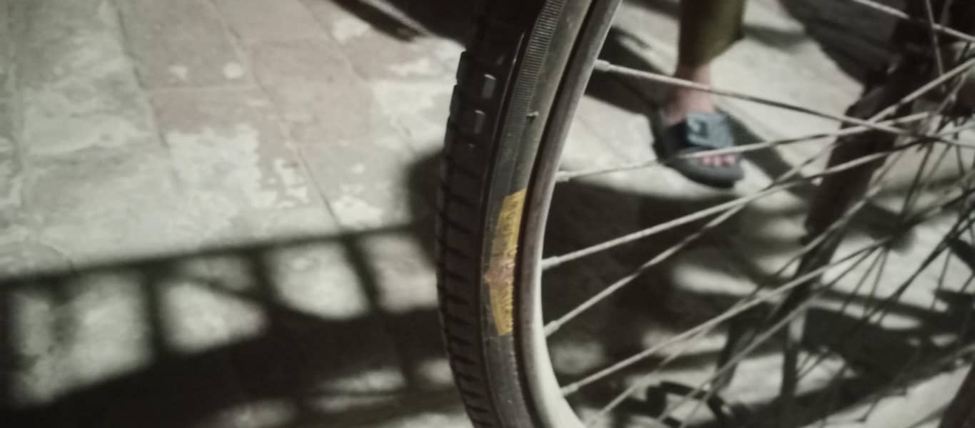 sohrab  bicycle 2