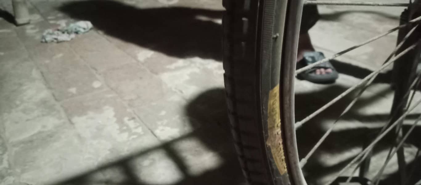 sohrab  bicycle 3