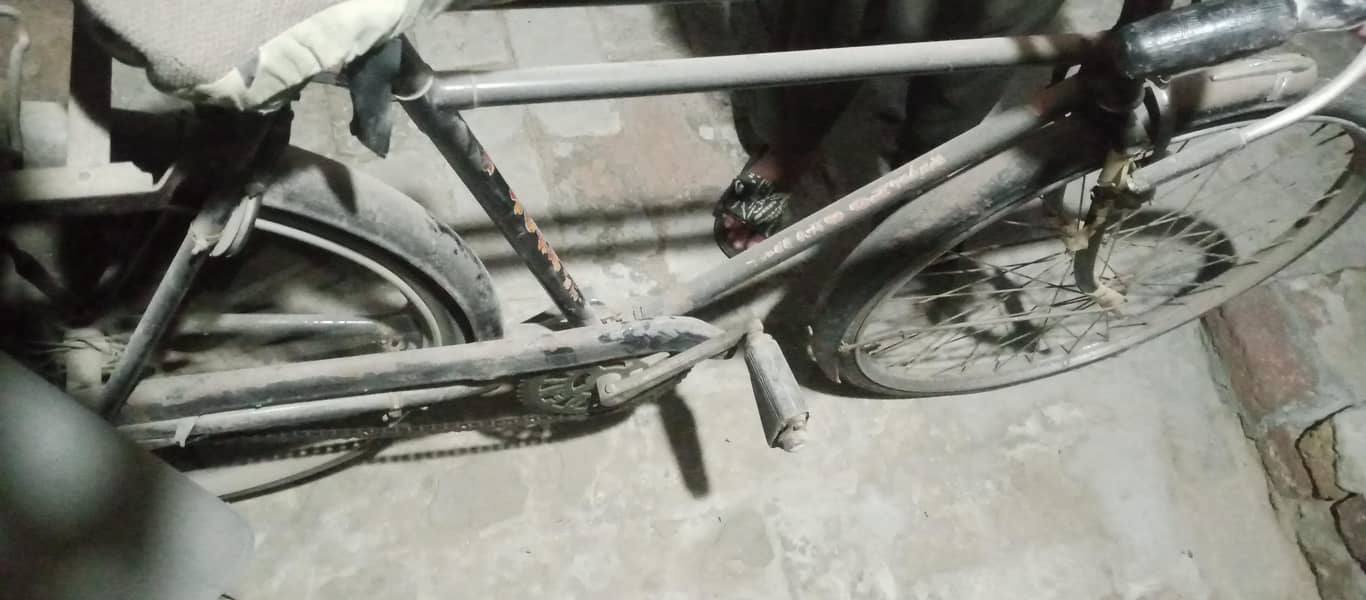 sohrab  bicycle 4