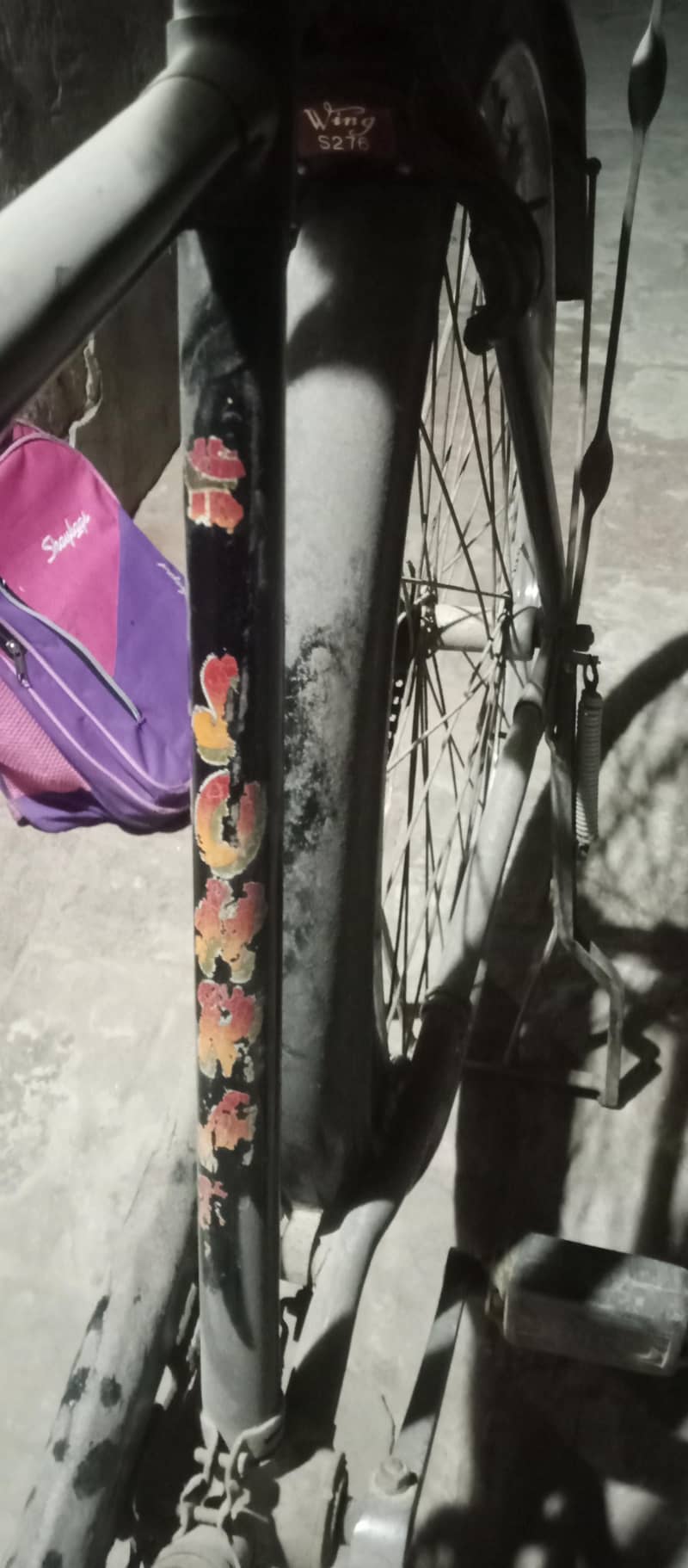 sohrab  bicycle 5