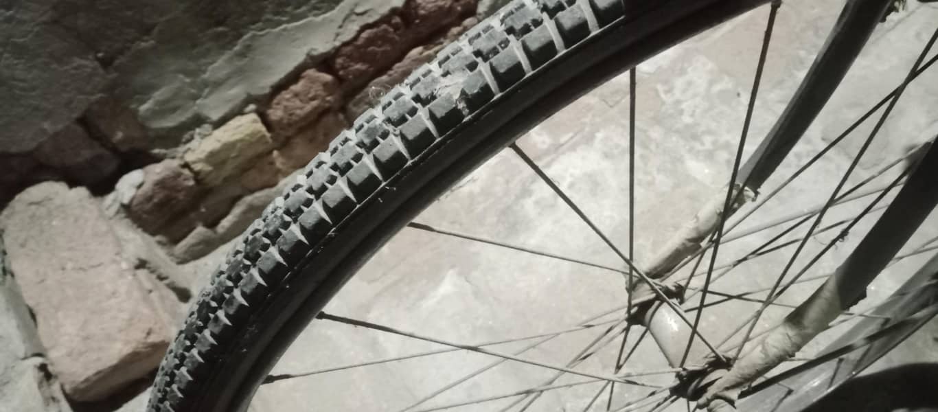 sohrab  bicycle 6