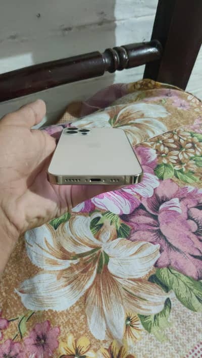 Apple iPhone 12 Pro