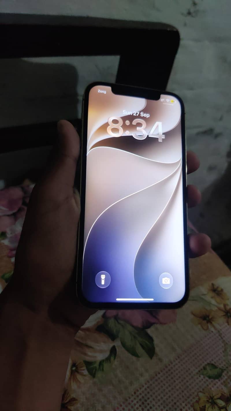 Apple iPhone 12 Pro 2