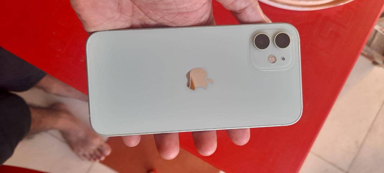 Apple iPhone 12 1