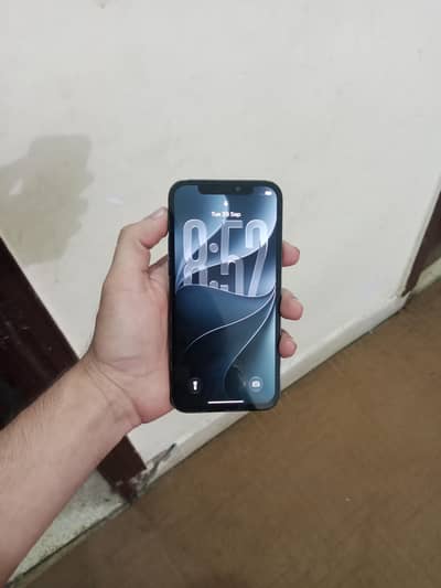 Apple iPhone 12 Pro