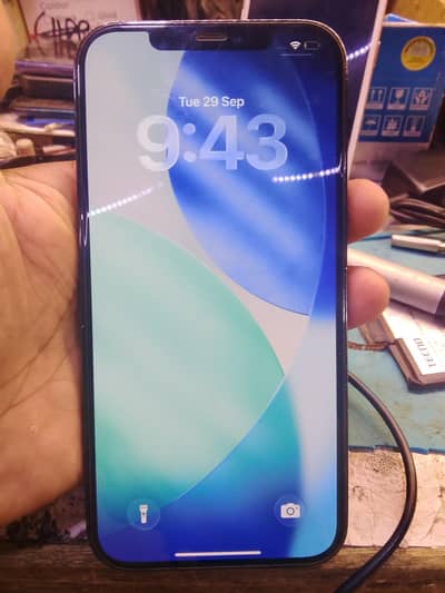 Apple iPhone 12 Pro Max