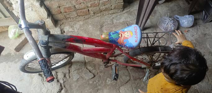 7 year's ky bacho k luy he