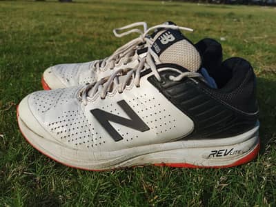 Adidas Spikes For Cricket