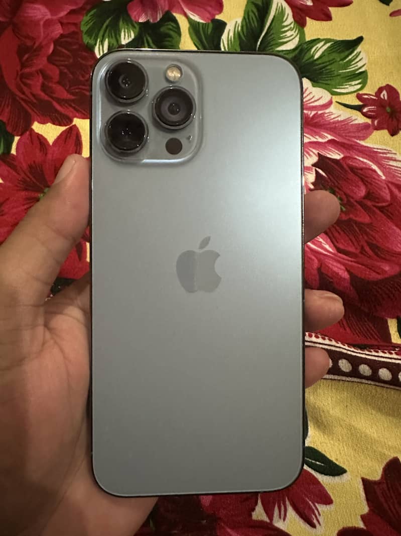 Apple iPhone 13 Pro Max 1