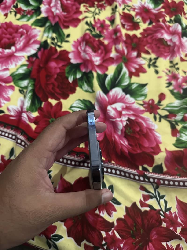 Apple iPhone 13 Pro Max 2