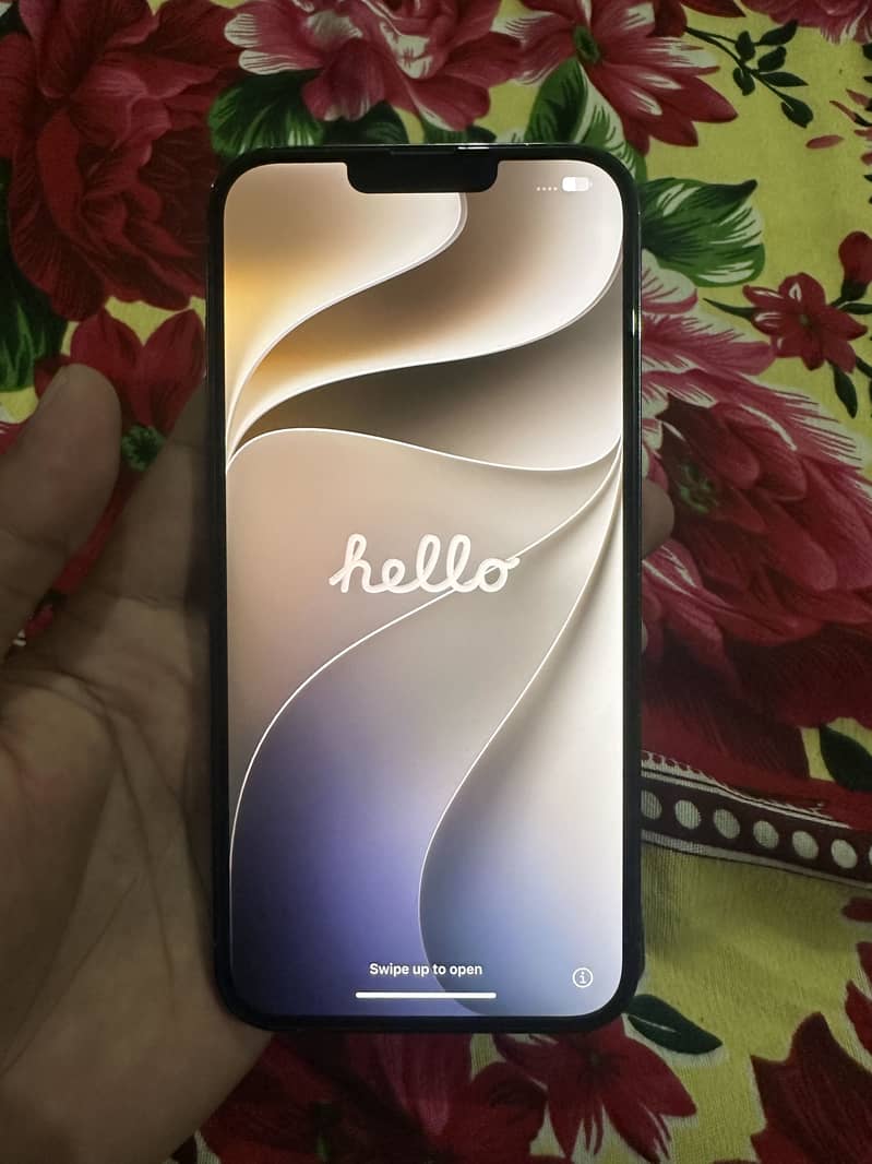 Apple iPhone 13 Pro Max 3