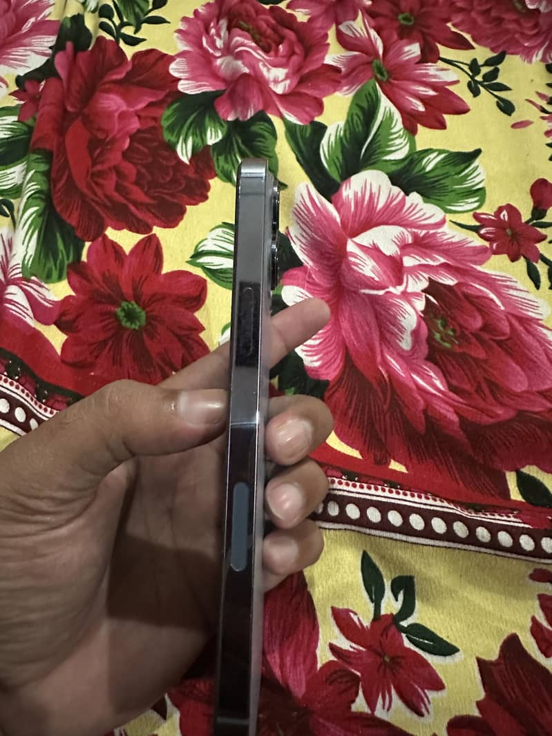 Apple iPhone 13 Pro Max 4