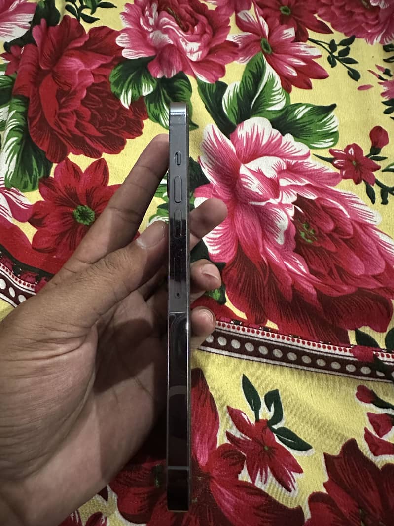 Apple iPhone 13 Pro Max 6