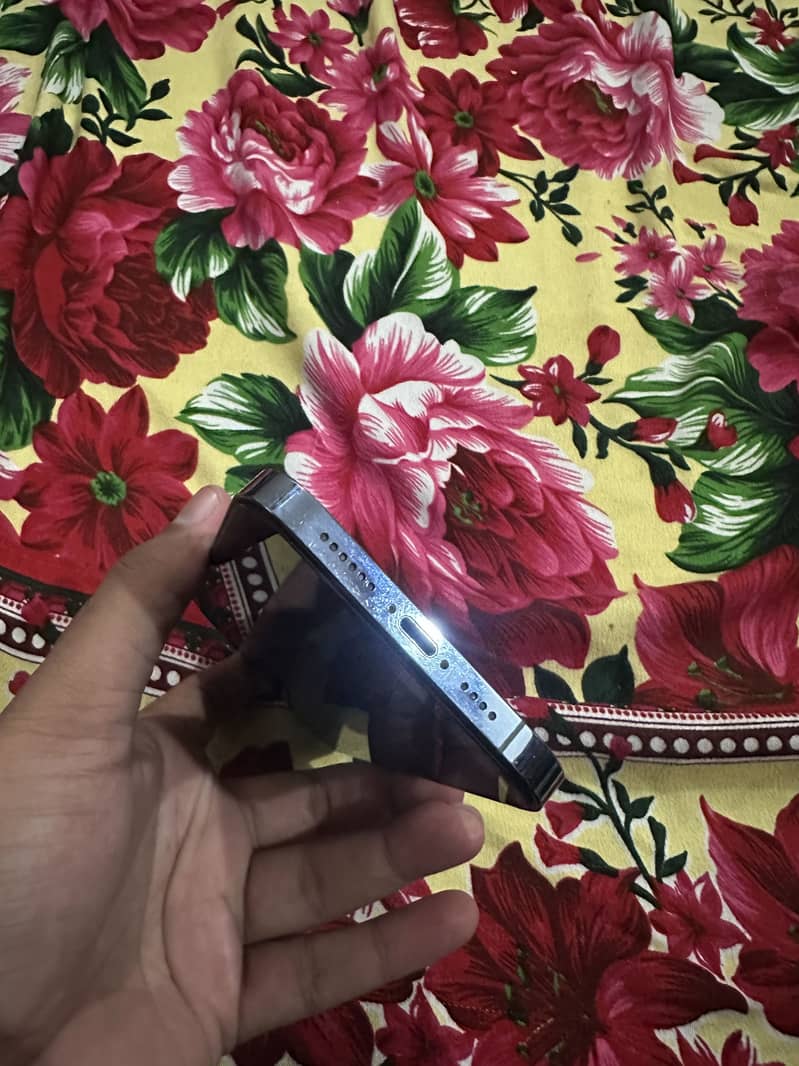 Apple iPhone 13 Pro Max 7