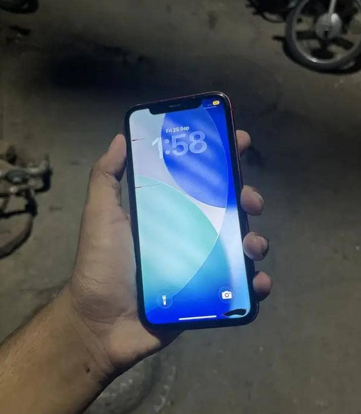 iPhone 11 4
