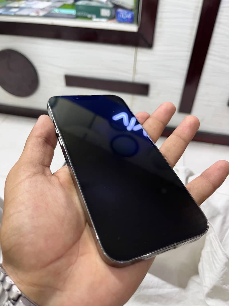 Apple iPhone 13 Pro Max 2
