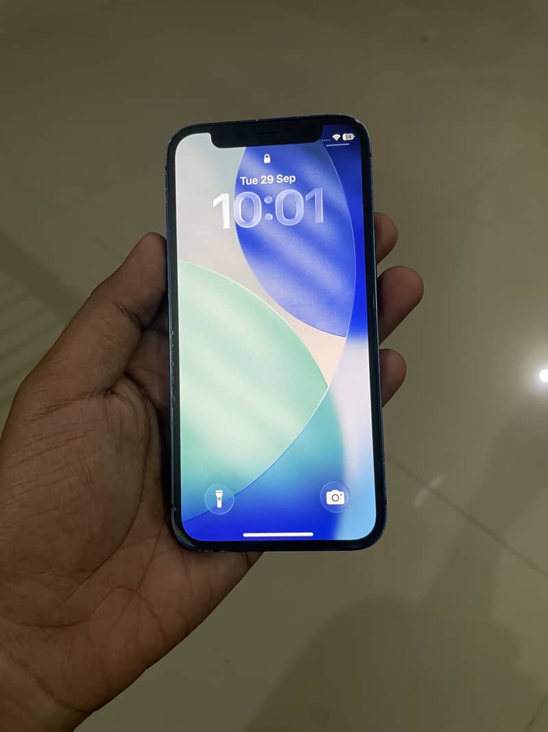 Apple iPhone 12 mini 1
