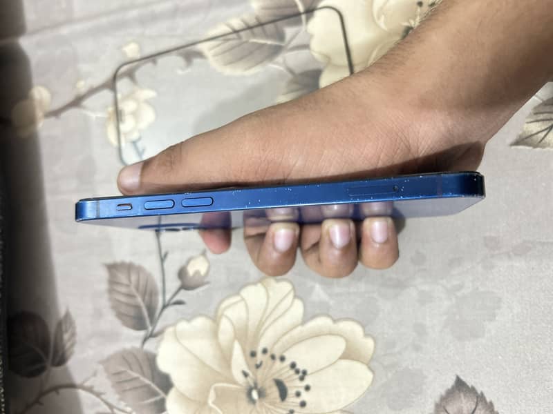 Apple iPhone 12 2