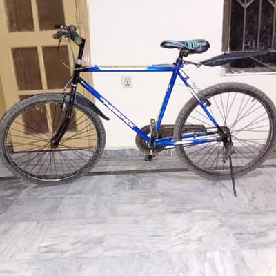 1 bicycle for sale