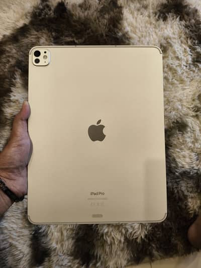 Ipad M4 pro cellular+wifi