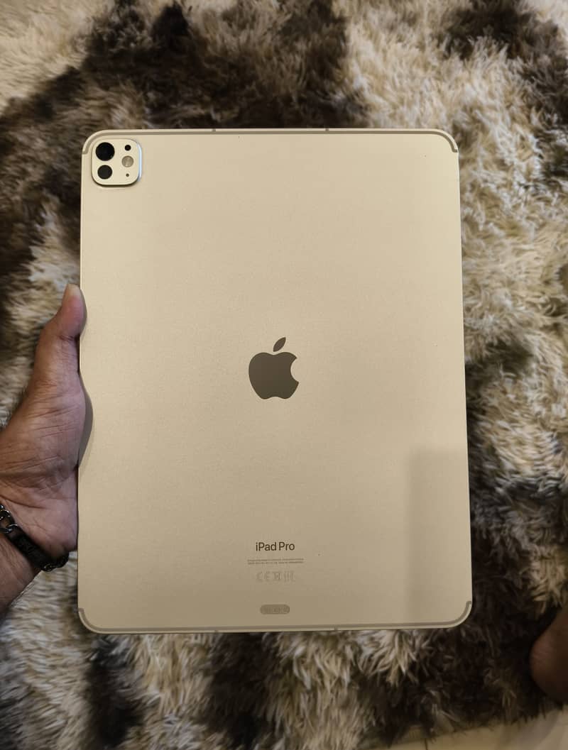 Ipad M4 pro cellular+wifi 1