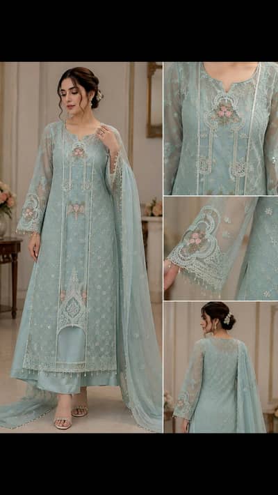 Organza Fabric Dress