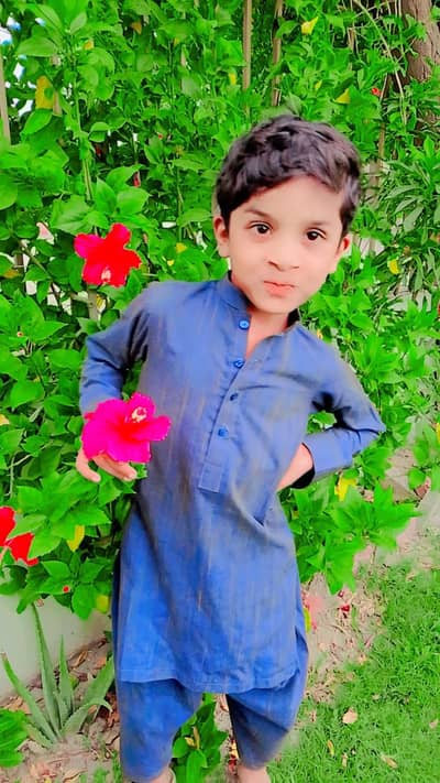 مجھے گھرڈرائیونگ جاب کی ضرورت ہے LTV لائسنس ہے میرے پاس