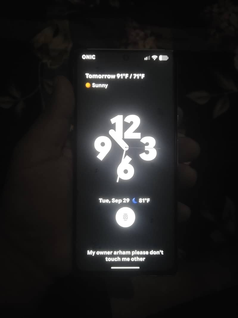 Google Pixel 6 Pro 2
