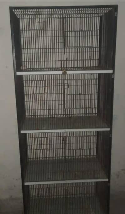 love birds cages