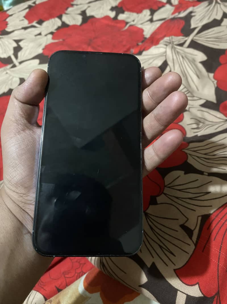 Apple iPhone 13 Pro Max 1