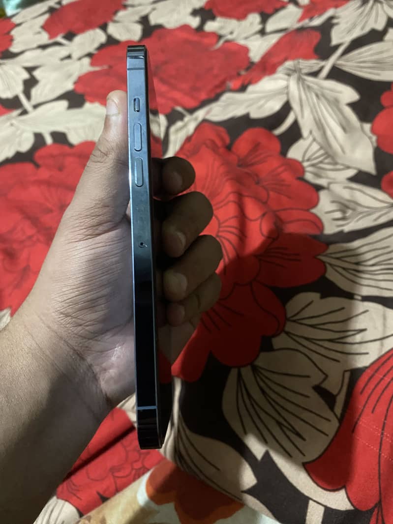 Apple iPhone 13 Pro Max 2