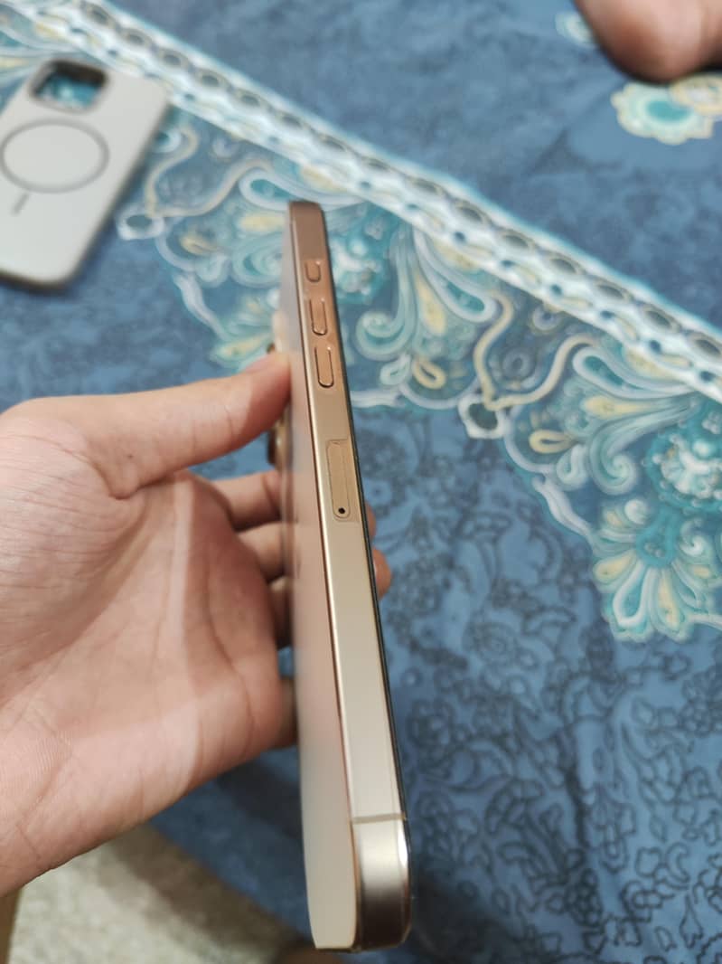 Apple iPhone 16 Pro Max 1