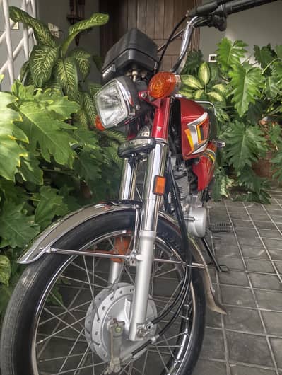 1 owner