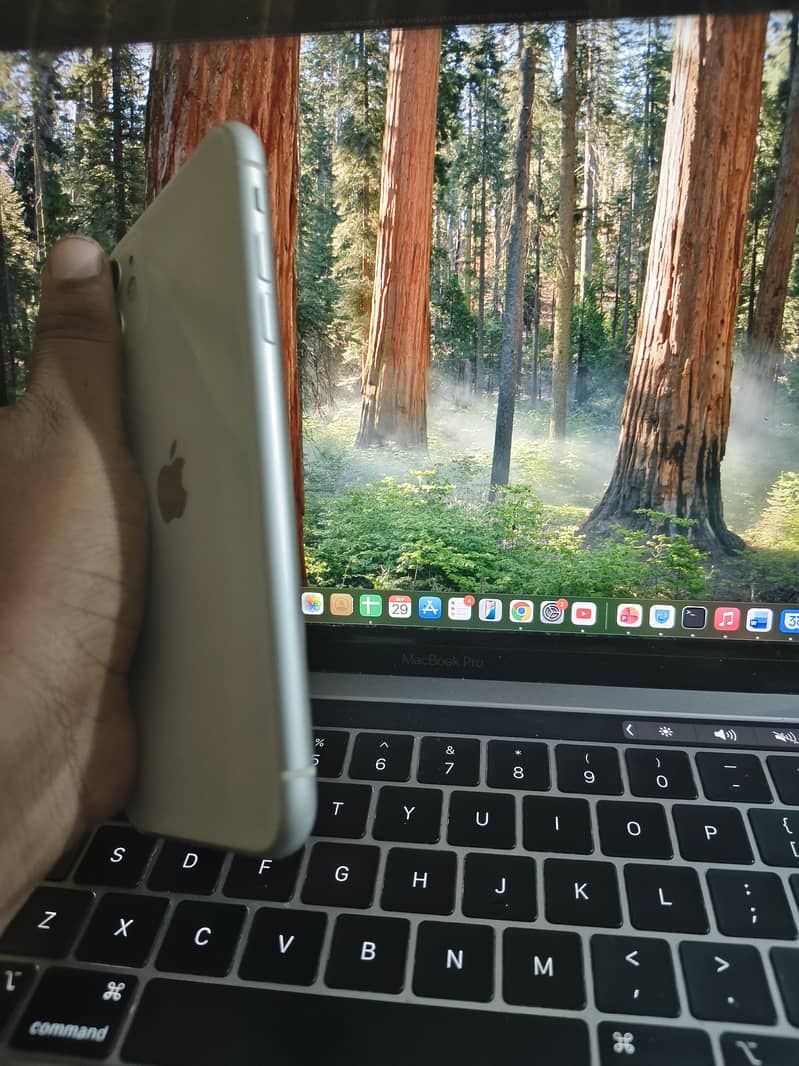 Apple iPhone 11 3