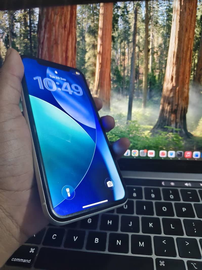 Apple iPhone 11 4