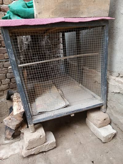 Hens Cage