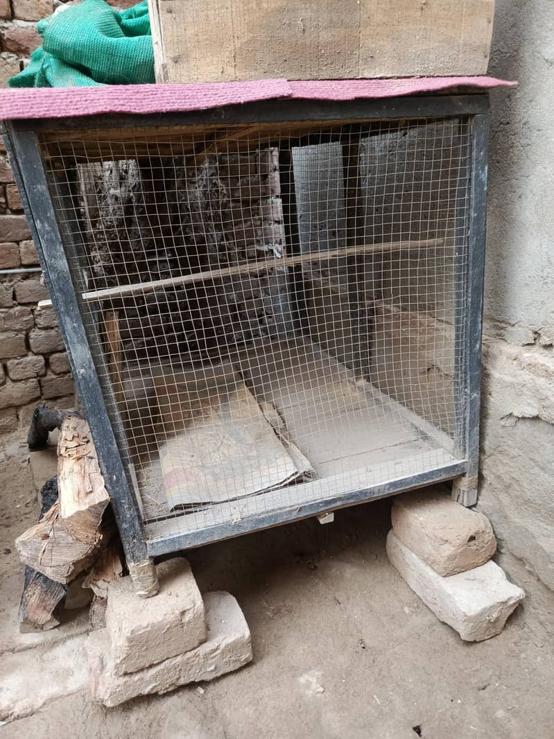 Hens Cage 0