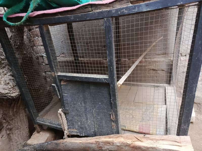 Hens Cage 1