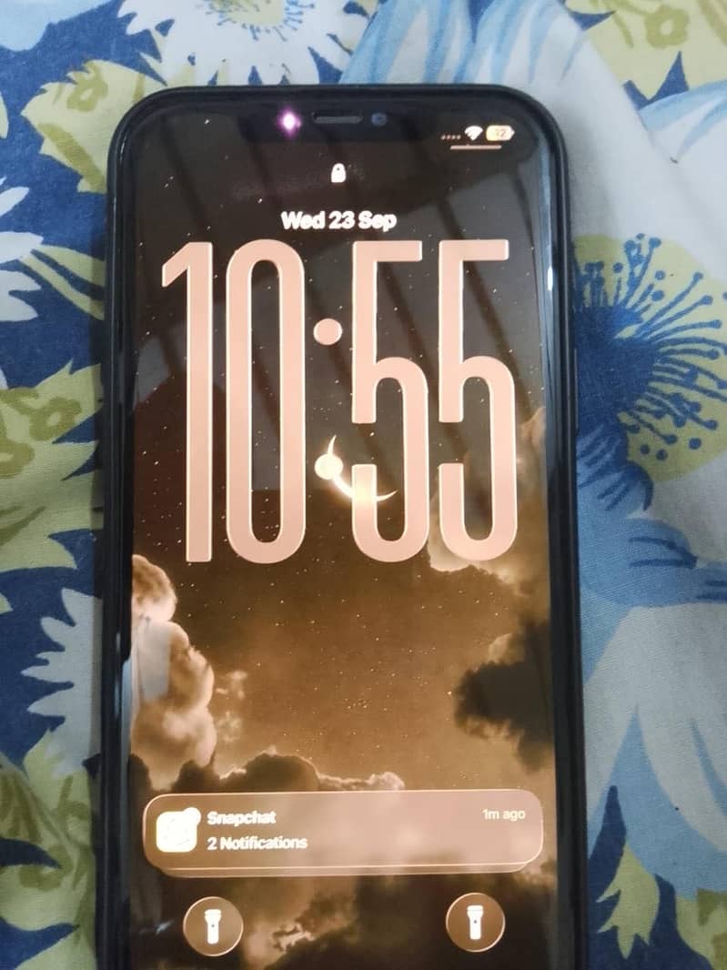 Apple iPhone 12 Pro Max 0