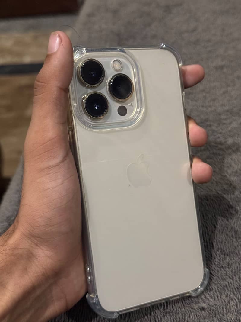 13 pro fu 2
