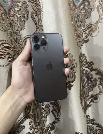 iPhone 13 Pro Max