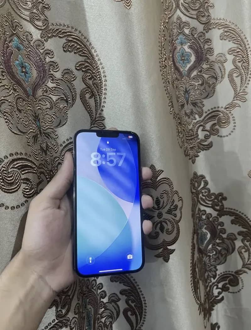 iPhone 13 Pro Max 1