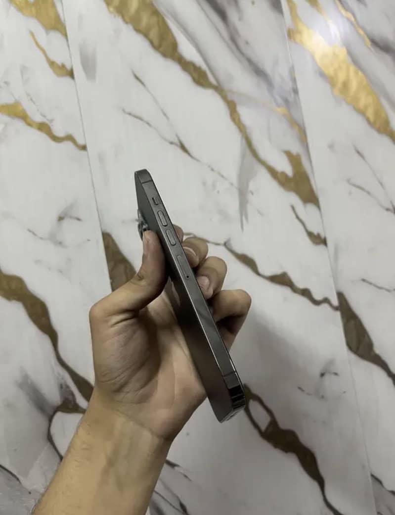 iPhone 13 Pro Max 2
