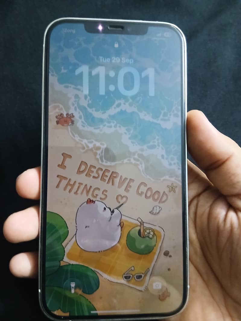 Apple iPhone 12 Pro Max 1